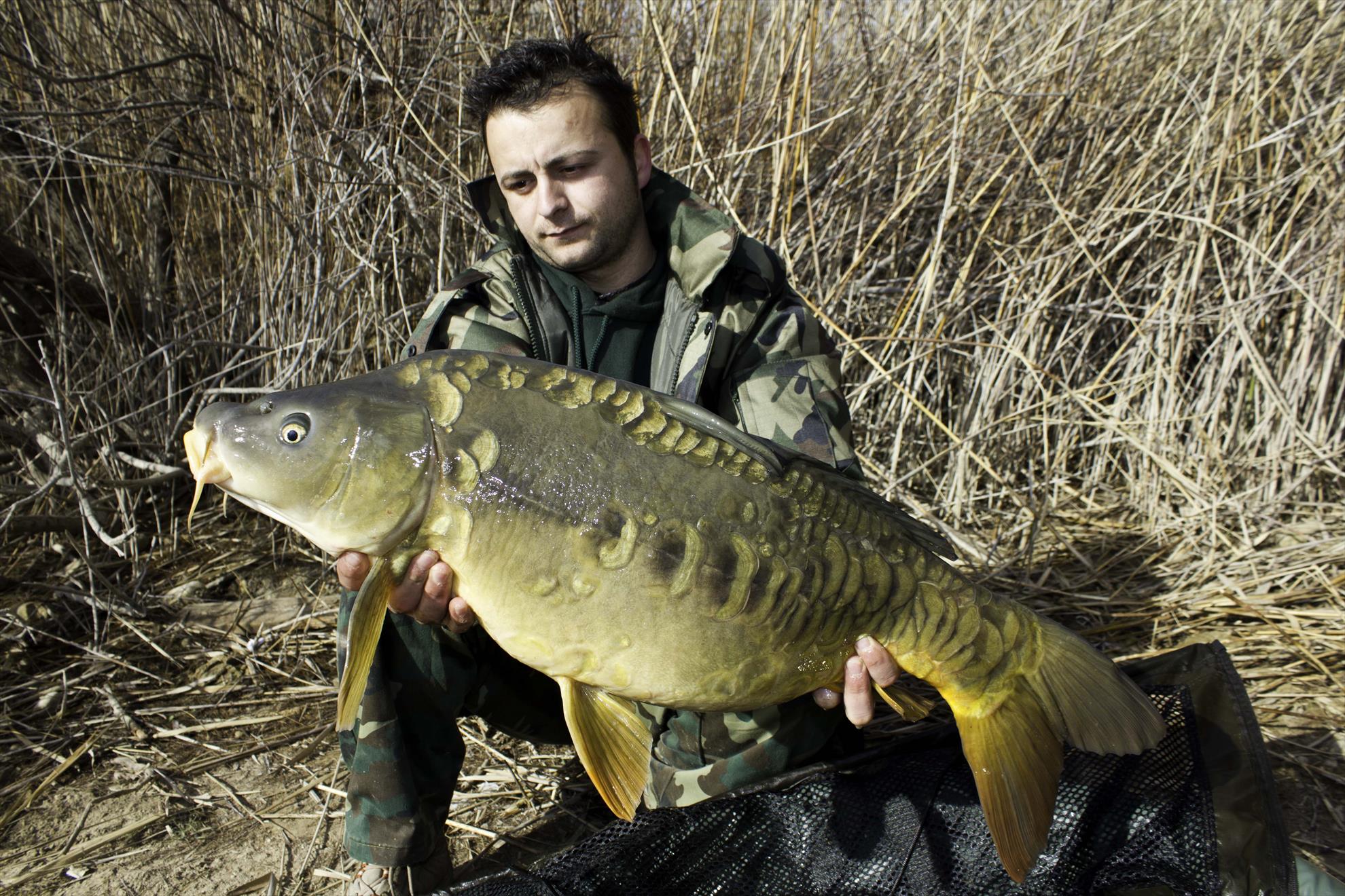 Carpfishing 2013 - mg7552.JPG